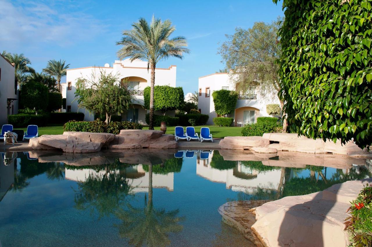 Stella Di Mare Sea Club Hotel Ain Suchna Exterior foto